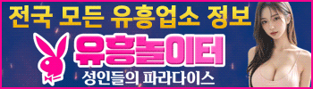 유흥놀이터